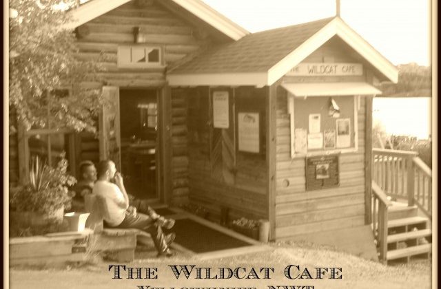 wildcat-640x486