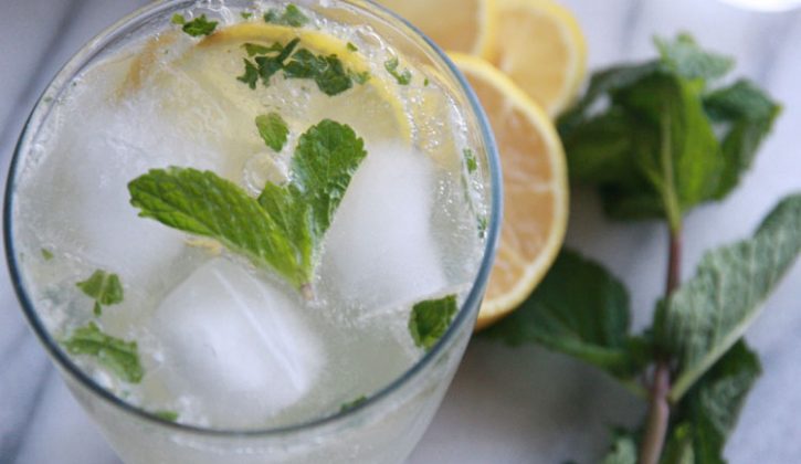 lemonmojito4