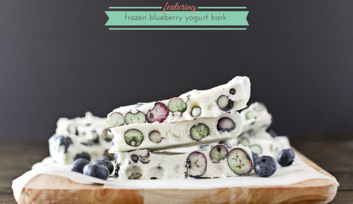 frozen-blueberry-yogurt-bark-dashofbutter.com_