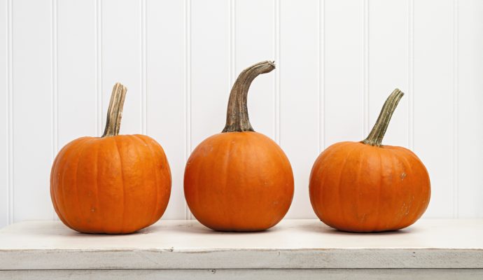 6 Ways to Spark Passion for Pumpkin - SavvyMom