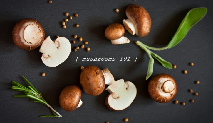 Mushrooms 101, cremini mushrooms on black surface with herbs