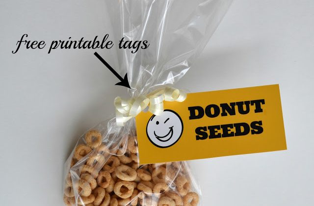 donut2Bseeds_square