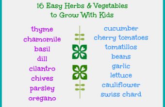 vegetables-to-grow-with-kids1