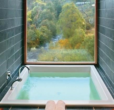 Bathtub-with-forest-view