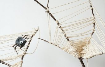 spider-web-nature-craft-2