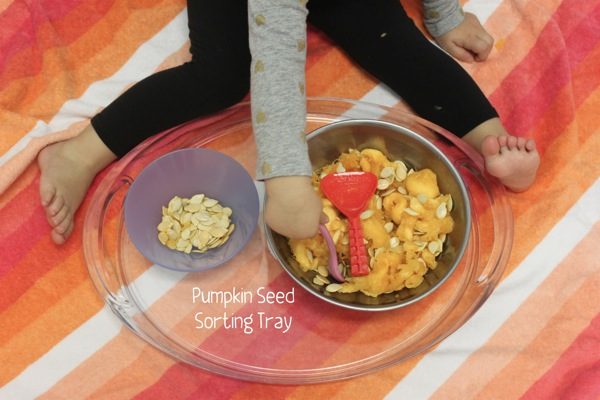 pumpkin-seed-sorting-tray