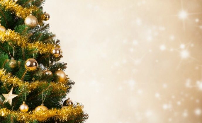 Christmas-Tree-Varieties-689x1024