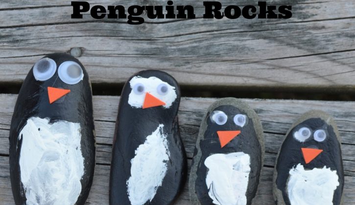 paintedpenguinrocks