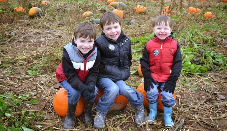 boysinthepumpkinpatch