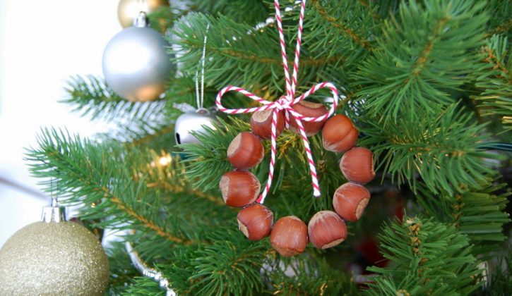 Hazelnut-Ornament