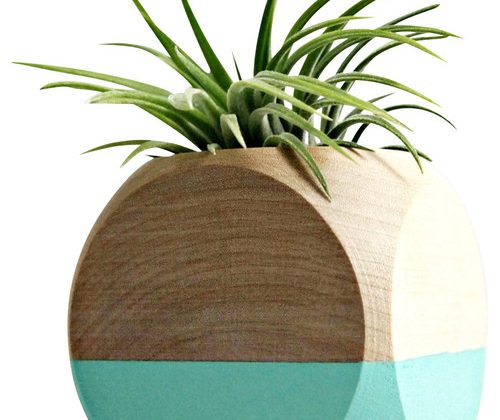 contemporary-indoor-pots-and-planters