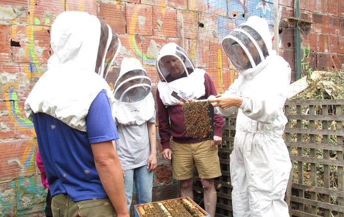 Hives For Humanity