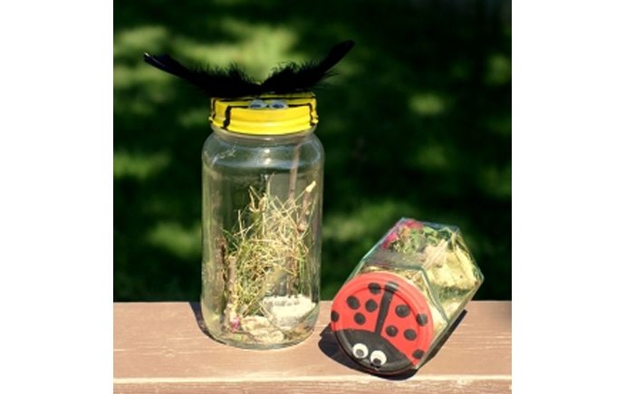 Buggy Bug Catching Jars