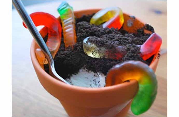 Worms in Dirt Recipe - SavvyMom