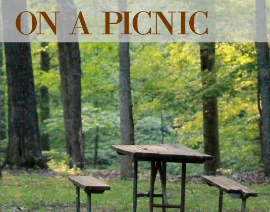 pack-for-a-picnic
