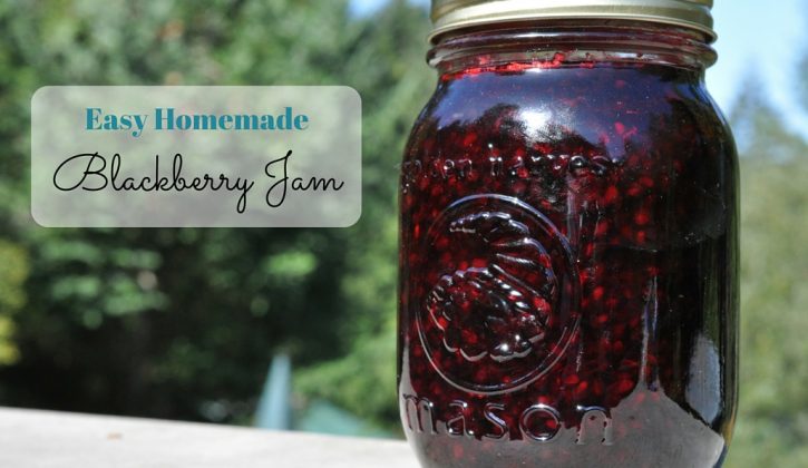 Easy Blackberry Jam Recipe