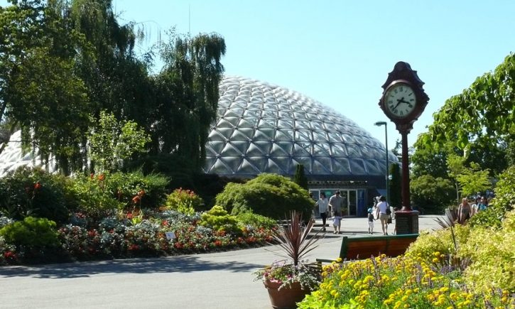 The Bloedel Conservatory