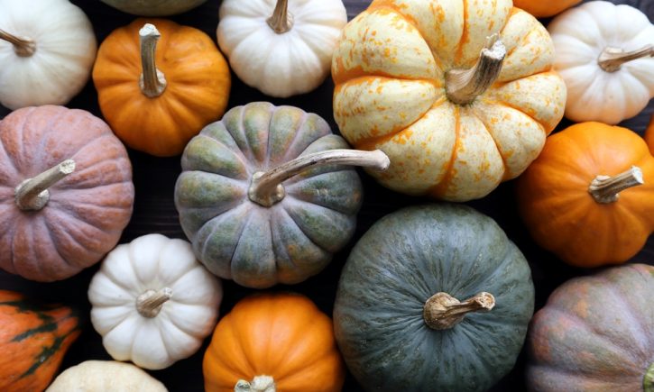10 Perfect Pumpkin Recipes for Fall