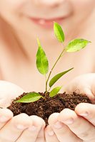 Woman_holding_plant_in_hands