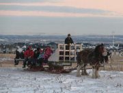 calgary_sleighrides