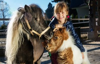 9 Spots in Toronto Where Kids Can Meet Animals