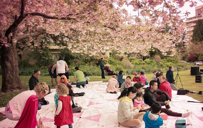 Vancouver Cherry Blossom Festival: April 3-23